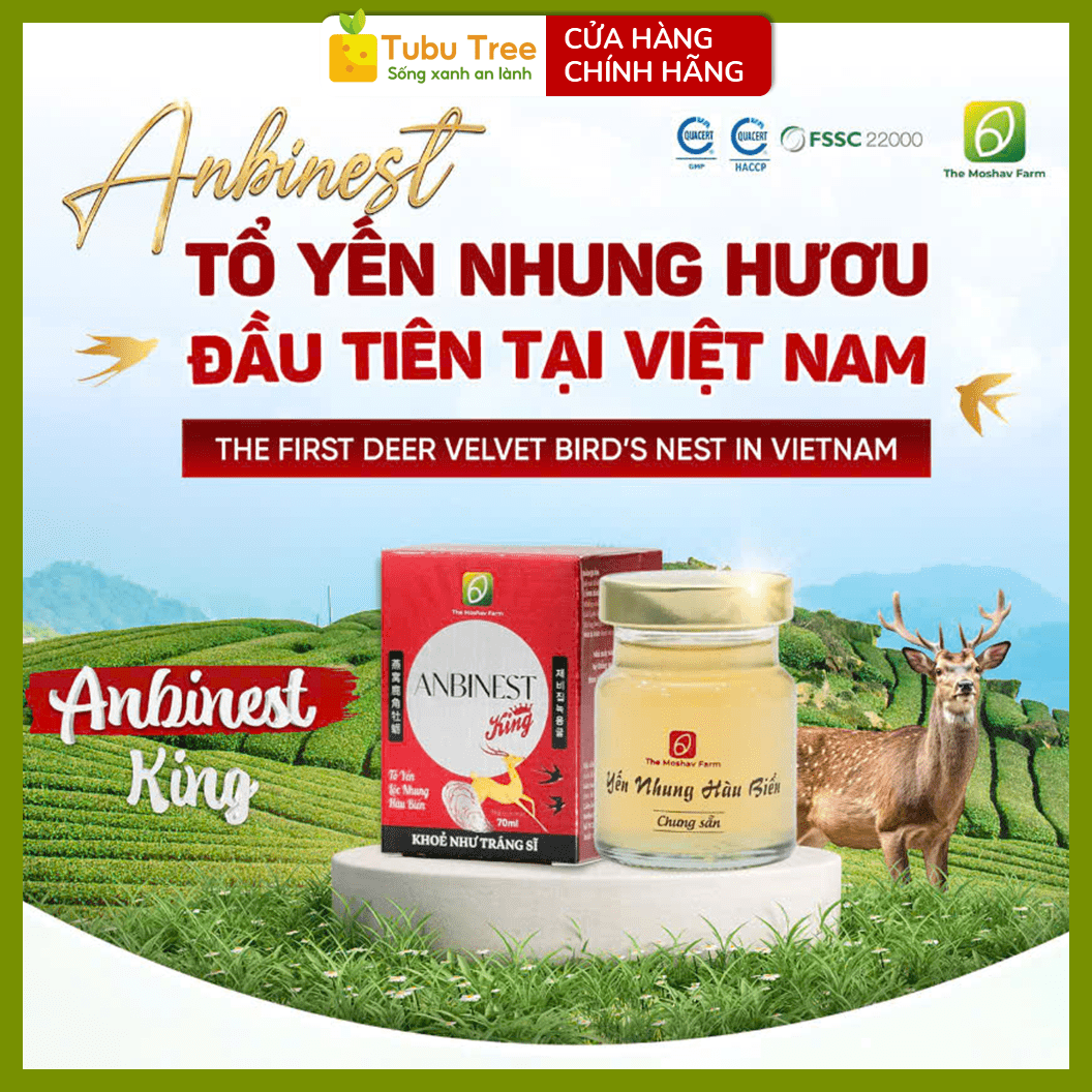 Yến Nhung Hươu ANBINEST King