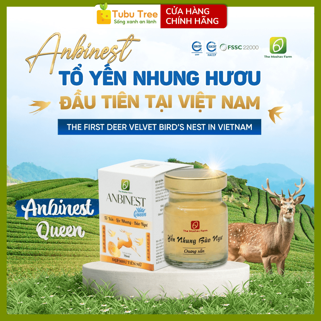Tổ yến Anbinest Diet Nhung Hươu Queen