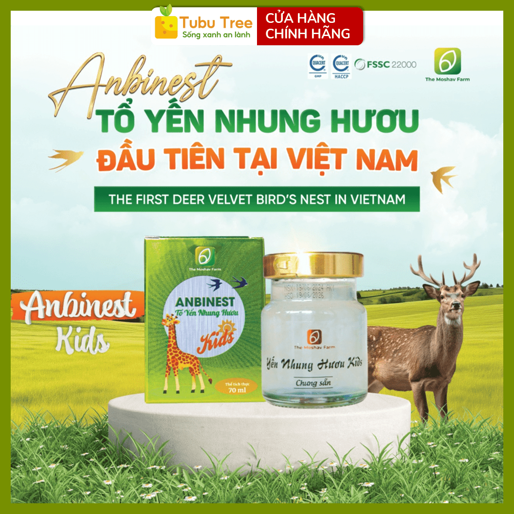 Yến Nhung Hươu ANBINEST Kids