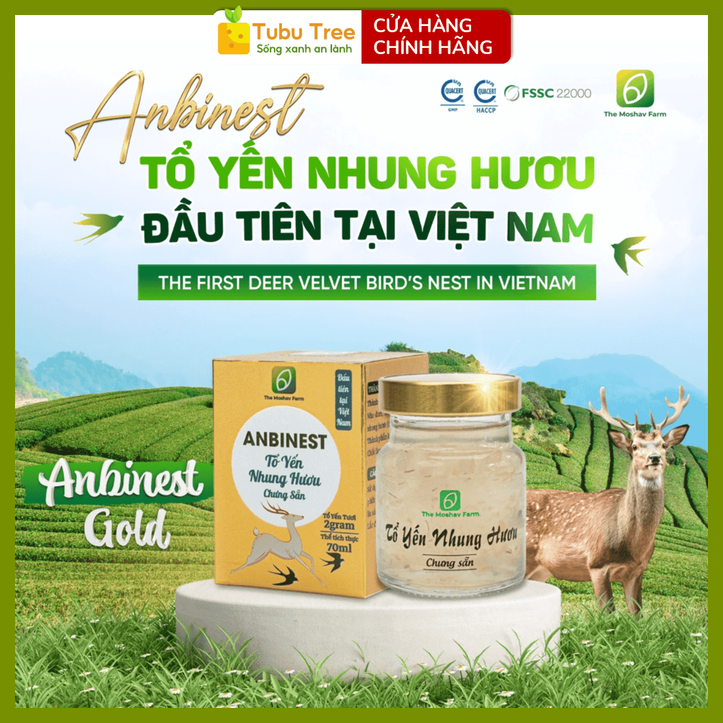 Tổ Yến Nhung Hươu ANBINEST Gold
