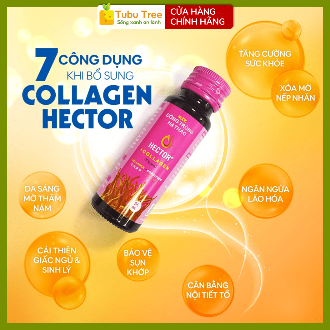 HECTOR COLLAGEN ĐÔNG TRÙNG HẠ THẢO