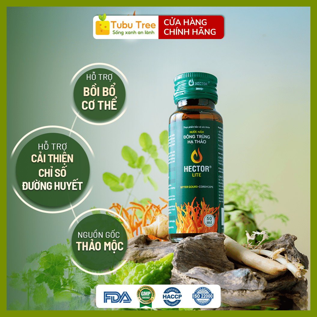 NƯỚC NẤM ĐÔNG TRÙNG HẠ THẢO HECTOR LITE