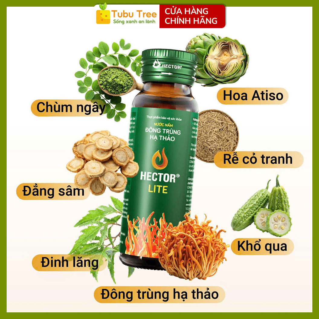 THÀNH PHẦN NƯỚC NẤM ĐÔNG TRÙNG HẠ THẢO HECTOR LITE