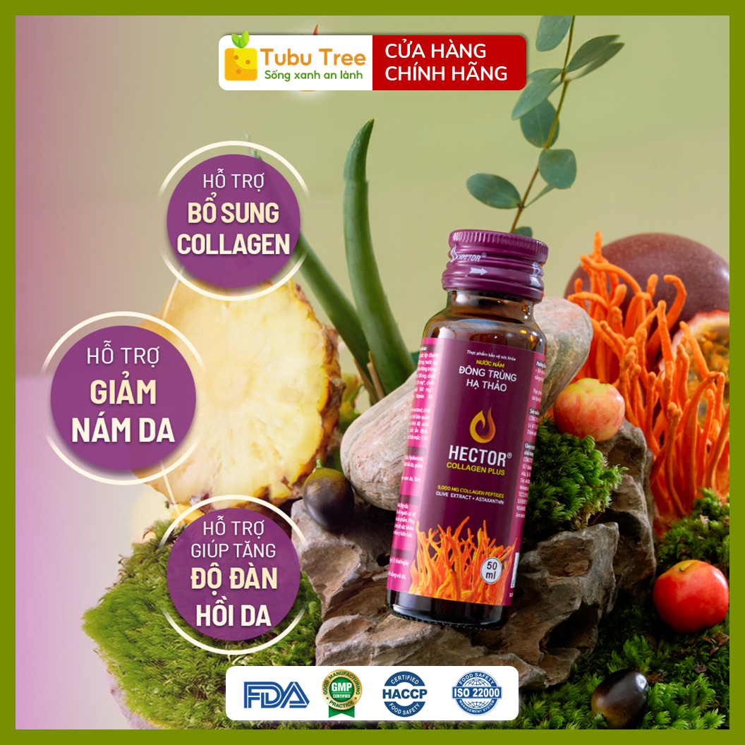 NƯỚC NẤM ĐÔNG TRÙNG HẠ THẢO HECTOR COLLAGEN PLUS